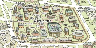 המפה של אוניברסיטת הרווארד.